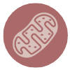 ATP Resonance BioTherapy icon